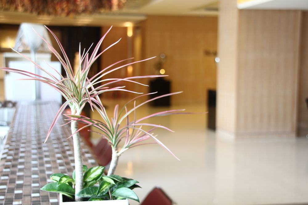Beacon Hotel Taichung Exterior foto
